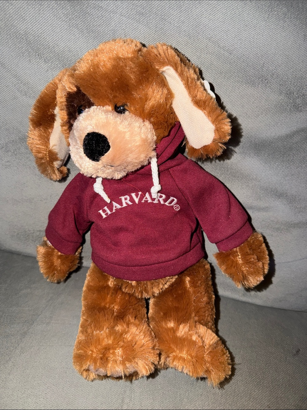 Harvard Plush Brown Puppy in Maroon Hoodie - Kids Toy